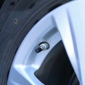 Yitong 50/100PCS Universal Protective Tire Valve Stem Caps With Rubber O-Ring Dust Proof Fit Auto SUV Truck Motorcycle Bicycle
