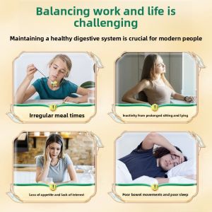 Ancient Formula Baizhen Powder Nanjing Tongrentang Green Gold Home Baizhen Cake Powder Digestive Health Breakfast Replacement Powder