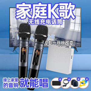 Leqi MU208Pro Wireless Microphone Karaoke Projector Compatible with Marshall Harman Kardon Home Use Handheld Battery Powered
