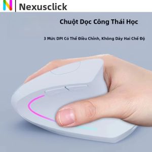 Chuột Không Dây Bluetooth Dọc Thiết Kế Công Thái Học Hai Chế Độ Sạc Lại Được Đèn Nền RGB Bấm Êm Dùng Cho Văn Phòng Có Giao Diện USB