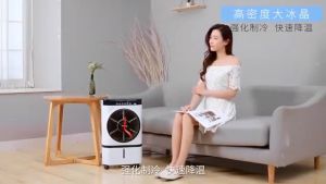 Electric Fan Cooler Inverter Air Circulator Fan With Remote Control Air Cooler Air Conditioner Wind Fan