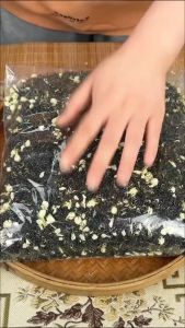 Jasmine Fragrant Green Eksklusif Utk Kedai Teh Susu Teh Hijau Jasmine