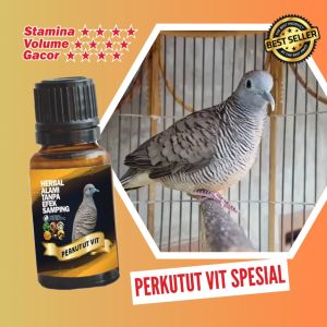 Multivitamin Burung Khusus Perkutut Terbuat Dari Bahan Herbal Berkasiat 10Ml