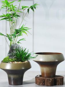 Moss Ball Bamboo Specialized Retro Zen Ceramic Planter