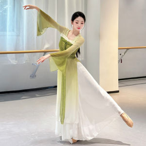 Elegant Long Dance Costume Womens Practice Suit Han Tang Style Gown Skirt Gradual Color Change Performance Clothing