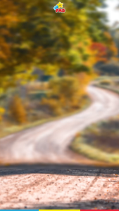 [Warna Chat] Sepeda Anak BMX Mortein MN8.0 Ban Warna 12 16 18 x 2.125 Ban Pompa