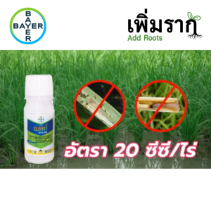 เบลท์® เอ็กซ์เพิร์ท กำจัดหนอนม้วนใบ หนอนกอ หนอนกัดใบข้าวทุกชนิด คุมได้นาน ปลอดภัยต่อต้นข้าว 100cc