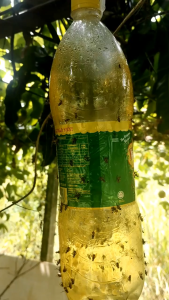 Valuable 260ML 450ML New fruits fly Insect repellent Fruit Fly Attractant Needle Bee track Fruit Tree Orchard Killing fruits fly Special spray