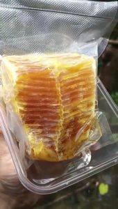 Madu Sarang Odeng Hutan Liar Tasikmalaya 500gr: Madu Berkualitas Tinggi untuk Kesehatan