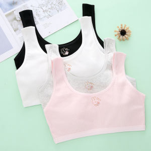 New Double-Sided Cotton Developmental Girls Bra Underwear Schoolchildren Cotton Bustier Girls Anti-Bump Small Undershirt