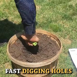 Transplant Seedling Sowing Tool: A Comprehensive Guide