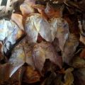 Dried Danggit (Boneless) 100 grams Organic Dried Fish. 