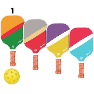 Beginner to Professional Pickleball Paddle