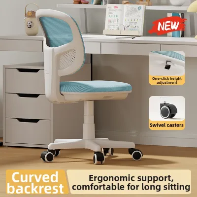 AIDESHENG | Adjustable Study Home Desk Chair For Comfortable Long Sitting Computer Chair