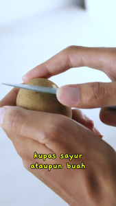 Alat Pengupas Buah dan Sayur 3in1 Peeler Pengupas Kulit Buah Sayuran Alat Kupas Serbaguna WD-14