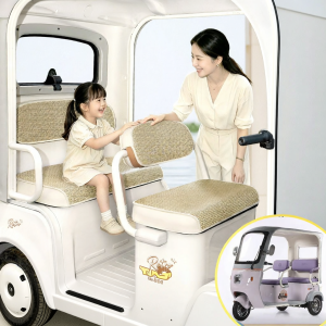Cool Summer Electric Tricycle Accessories