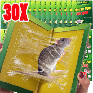 30 ชิ้น แผ่นกาวดักหนู / แผ่นกาวดักหนูสำหรับใช้ในบ้าน / แผ่นกาวดักหนู / แผ่นกาวดักหนู / กับดักหนู / กับดักหนูขนาดใหญ่