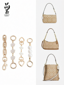 JINGQIAN | Universal Crossbody Bag Chain Accessory
