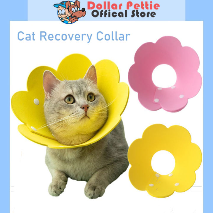 Cat Recovery Collar Pet Dog E-Collar Elizabeth Circle Cute Flower Neck ...