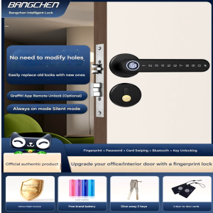 Modern Smart Lock Modern Luxury Design HDB Condo Landed Custom All Sizes Professional Delivery