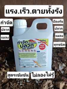น้ำยากำจัดปลวกและป้องกันปลวกแมลง