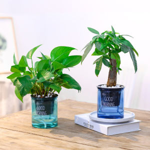 1Pc Round Flowerpot Watering Planter Handmade 2 Layer Self Watering Plant Flower Pot With Water Container Home Garden Decor