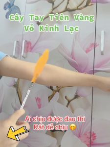 Cây Tay Tiên Vàng Đa Năng Cao Cấp- Dụng Cụ Massage - Dụng Cụ Bấm Huyệt