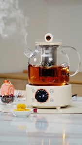 Electric Glass Kettle Health Pot | Glue-Free | Baby Warmer | Herbal Tea Cooker | No Plastic | 1.2L
