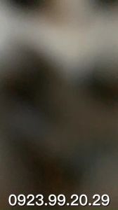 Bình lắc Inox 350ml 550ml