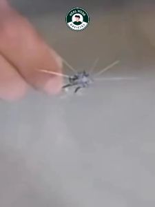 (BISA COD) Lem Reparasi Kaca Mobil & LCD Retak Windshield Glass Repair Kit Sealent Perawatan Mobil Hitam Black Kuning Yellow