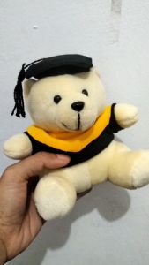 Boneka buket teddy bear mini boneka bear wisuda 15 cm graduation boneka bear toga bahan velboa murah