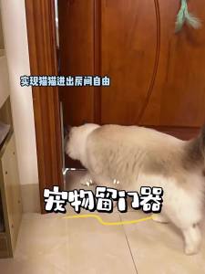 7o | Cat Entrance Dog Barrier Elastic Door Seal