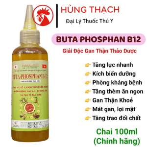 BUTA PHOSPHAN B12 (100ml) giúp giải độc gan mát gan lợi mật tăng cường đề kháng cung cấp đầy đủ vitamin acid amin khoáng trên gà gia cầm vịt