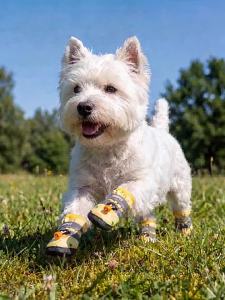 hipidog | Waterproof Dirt-proof Soft Sole Dog Shoes Autumn Winter