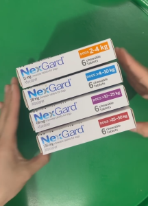Hộp 6 Viên Nhai Nexgard Phòng Và Trị Ve Rận Bò Chét Cho Chó