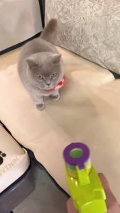 Pet Carrot Gun Flying Disc Launcher Interactive Pet Toy Cat Teaser Gun