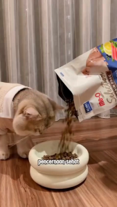 GOMY Meo gold creamy treats 60gr isi 4 snack kucing