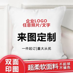 Creative Photo Pillow Covers: Modern Minimalist Square Soft Short Plush Home Decor