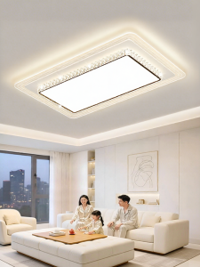 Smile | Modern Simple Bright LED Ceiling Light