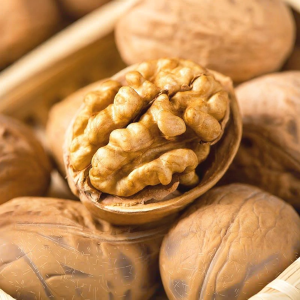 Thin Shell Natural Pregnant Suitable Walnuts
