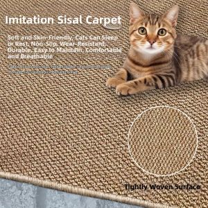 Anti-slip Wear-resistant Cat Carpet