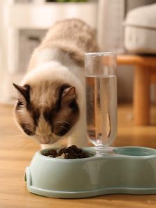 High Quality ABS 2 in 1 food and water pet feeder