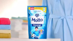 Molto Pewangi 780ml Pelembut Dan Pewangi Pakaian All Varian