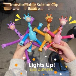 Creative Educational Light-Up Toy