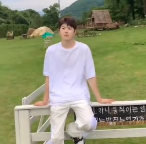 OTHERWAY Korean Plain Short Sleeve Top for Man High Quality Loose Ruond Neck T Shirt