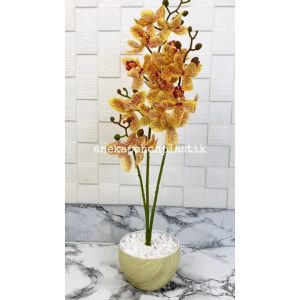 Tanaman Hias Bunga Anggrek X3 Kuning Bintik Plastik & Vas Melamine Motif Serat Kayu