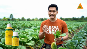 Insektisida Rizotin 100 EC 500 ml Pembasmi Hama Daun Fogging Serangga