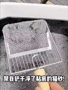 Xẻng Hốt Phân Mèo Inox Không Gỉ 2 Phần Lọc Tay Cầm Bằng Gỗ - iPet Shop