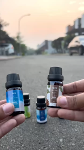 Refil Parfum Pajangan Mobil Cair 10 ml 1pcs