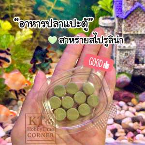 อาหารแปะตู้/เม็ดจม สำหรับปลาและกุ้ง🐠🦞 สาหร่ายสไปรูลิน่า เสริมภูมิคุ้มกัน ช่วยลดความเครียด เพิ่มสีสันของปลา